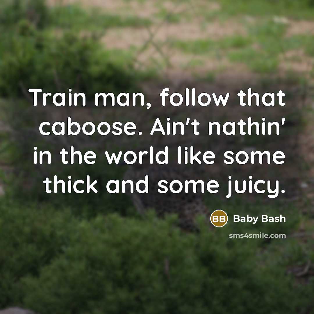 “Train man, follow that caboose. Ain't nathin' in the world like some thick and some juicy.” quote by Baby Bash