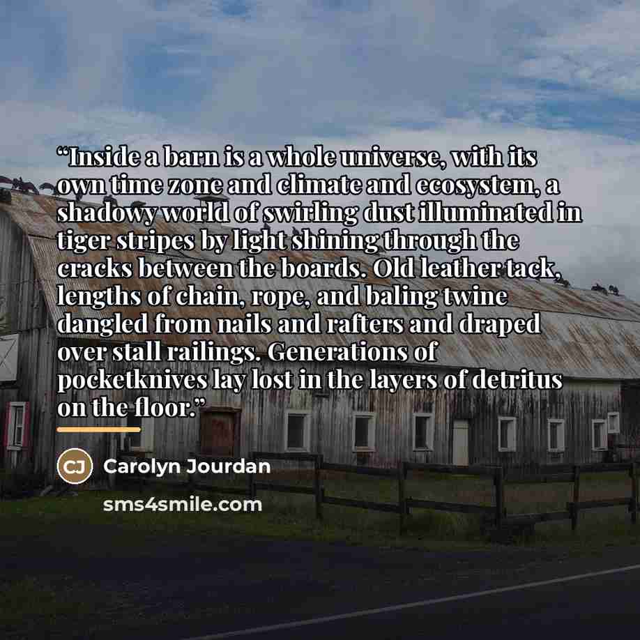 “Inside a barn is a whole universe, with its own time zone and climate and ecosystem, a shadowy world of swirling dust illuminated in tiger stripes by light shining through the cracks between the boards. Old leather tack, lengths of chain, rope, and baling twine dangled from nails and rafters and…” quote by Carolyn Jourdan