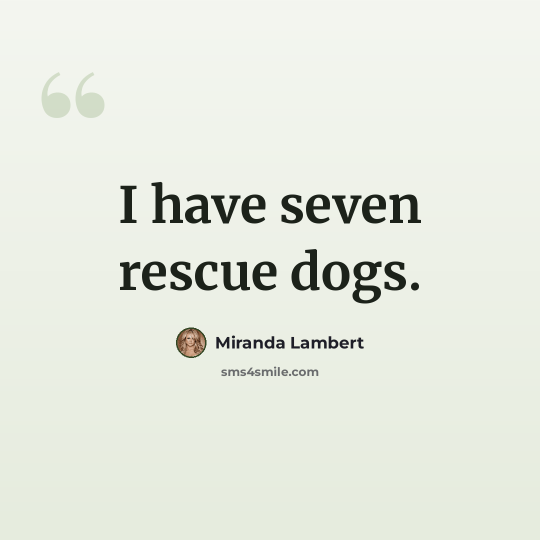 “I have seven rescue dogs.” quote by Miranda Lambert