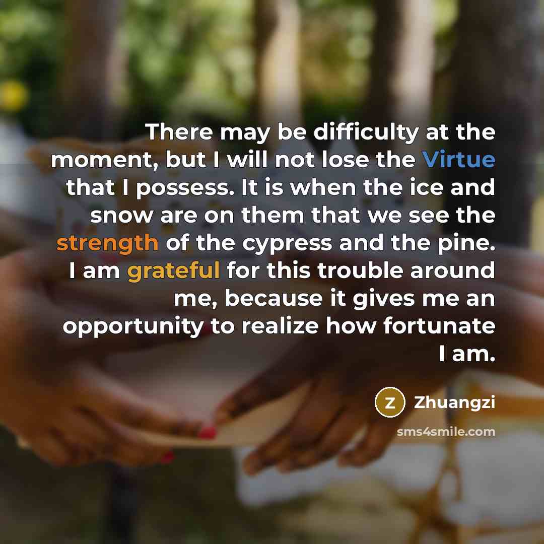 “There may be difficulty at the moment, but I will not lose the Virtue that I possess. It is when the ice and snow are on them that we see the strength of the cypress and the pine. I am grateful for this trouble around me, because it gives me an opportunity to realize how fortunate I am.” quote by Zhuangzi