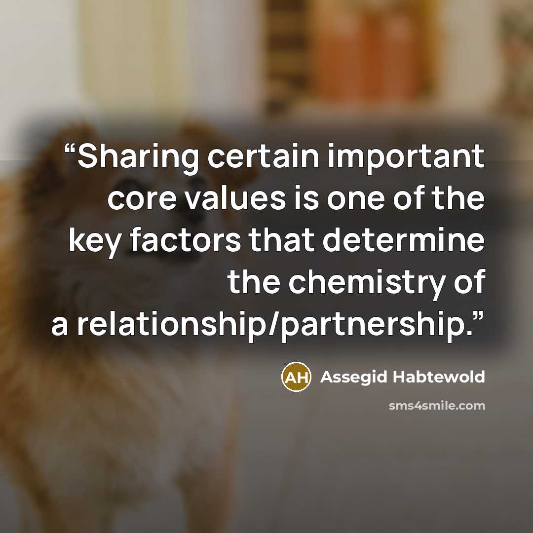 “Sharing certain important core values is one of the key factors that determine the chemistry of a relationship/partnership.” quote by Assegid Habtewold