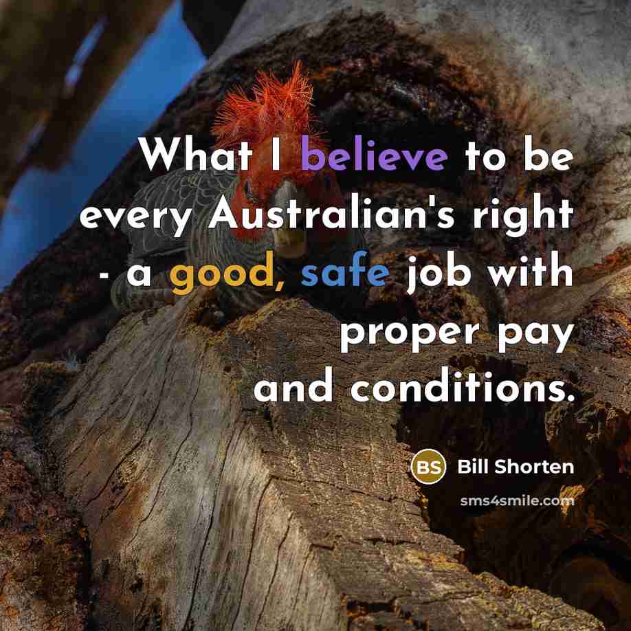 “What I believe to be every Australian's right - a good, safe job with proper pay and conditions.” quote by Bill Shorten
