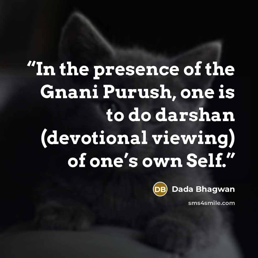 “In the presence of the Gnani Purush, one is to do darshan (devotional viewing) of one’s own Self.” quote by Dada Bhagwan