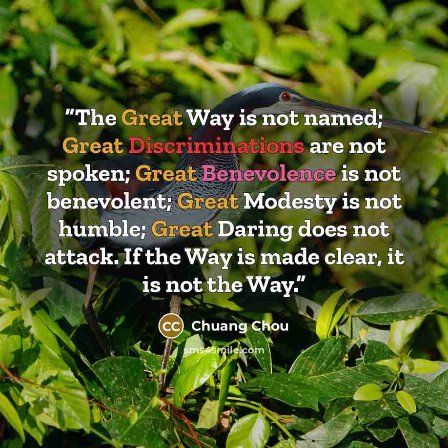 “The Great Way is not named; Great Discriminations are not spoken; Great Benevolence is not benevolent; Great Modesty is not humble; Great Daring does not attack. If the Way is made clear, it is not the Way.” quote by Chuang Chou
