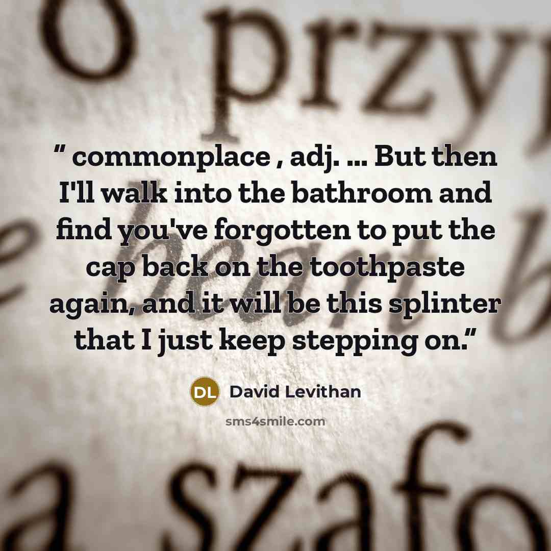 “commonplace , adj. ... But then I'll walk into the bathroom and find you've forgotten to put the cap back on the toothpaste again, and it will be this splinter that I just keep stepping on.” quote by David Levithan