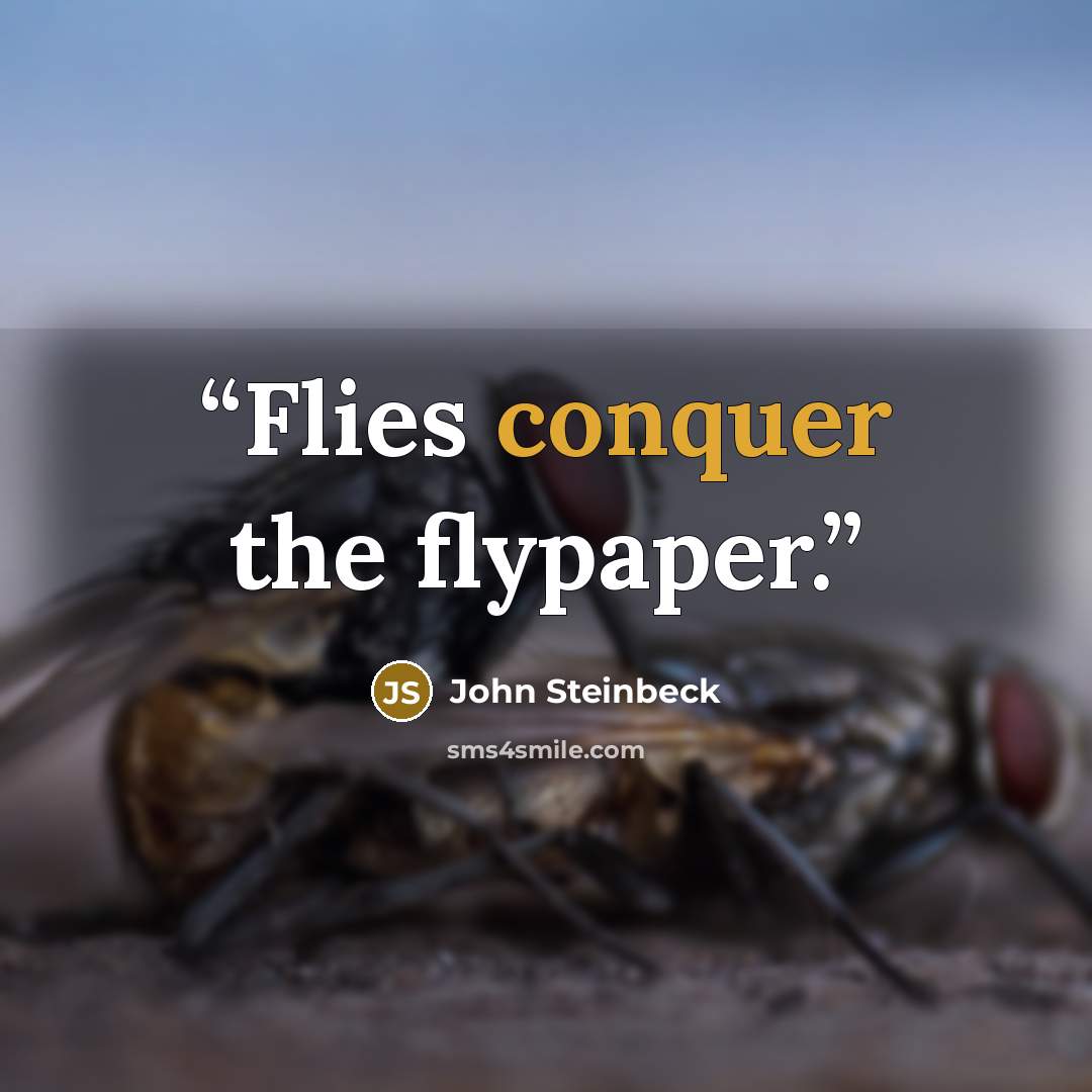 “Flies conquer the flypaper.” quote by John Steinbeck