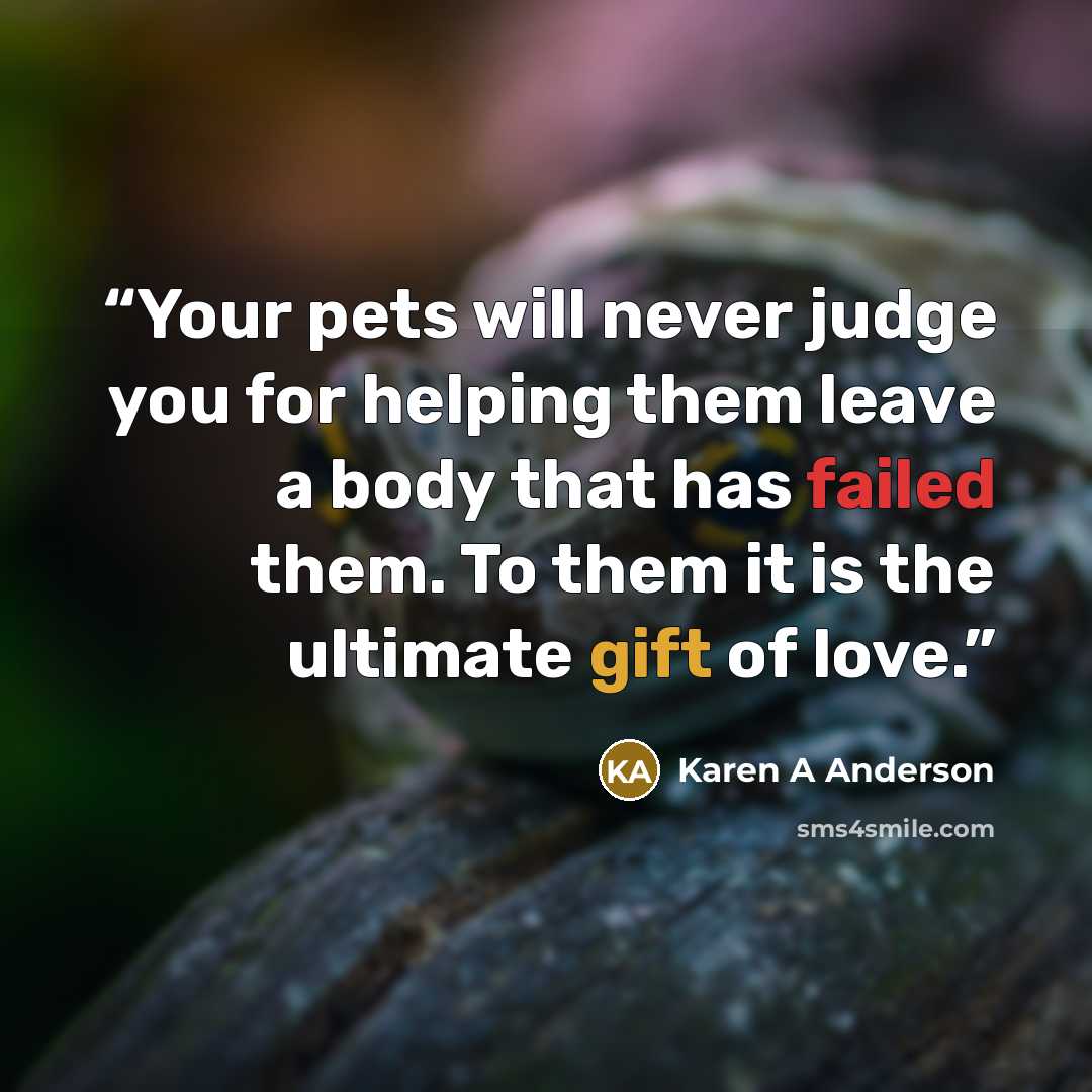 “Your pets will never judge you for helping them leave a body that has failed them. To them it is the ultimate gift of love.” quote by Karen A Anderson