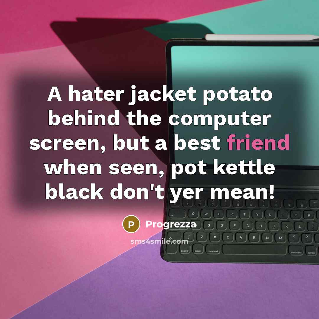 “A hater jacket potato behind the computer screen, but a best friend when seen, pot kettle black don't yer mean!” quote by Progrezza