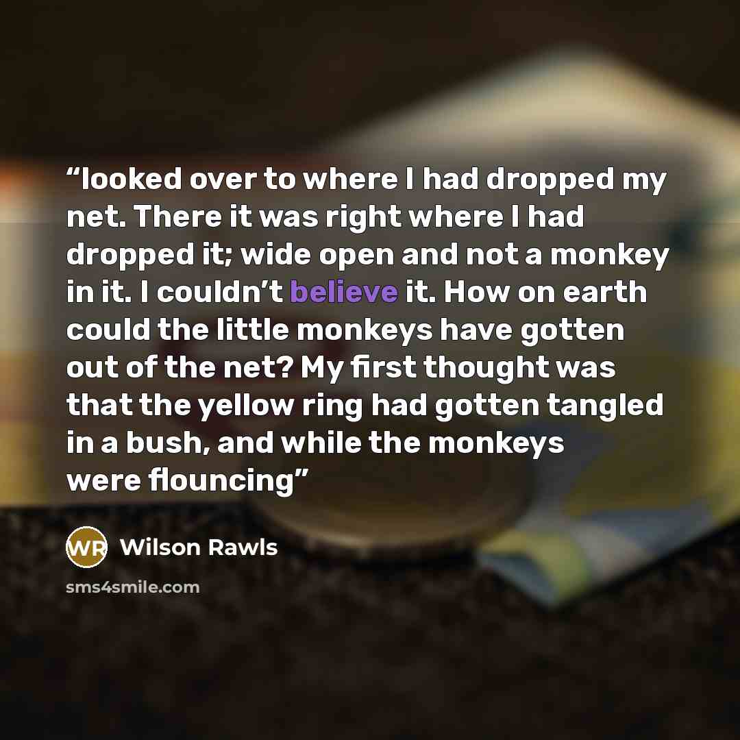 “looked over to where I had dropped my net. There it was right where I had dropped it; wide open and not a monkey in it. I couldn’t believe it. How on earth could the little monkeys have gotten out of the net? My first thought was that the yellow ring had gotten tangled in a bush, and while the…” quote by Wilson Rawls