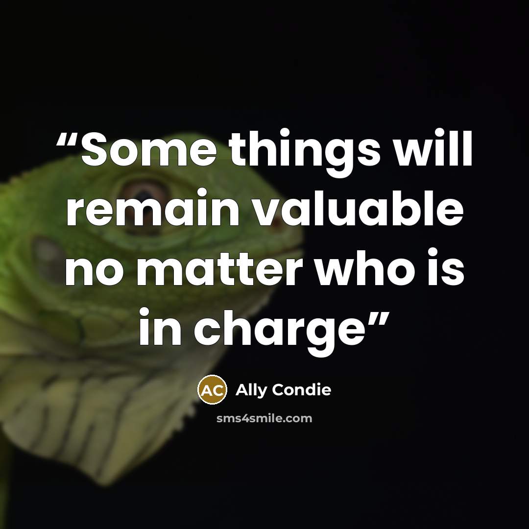 “Some things will remain valuable no matter who is in charge” quote by Ally Condie