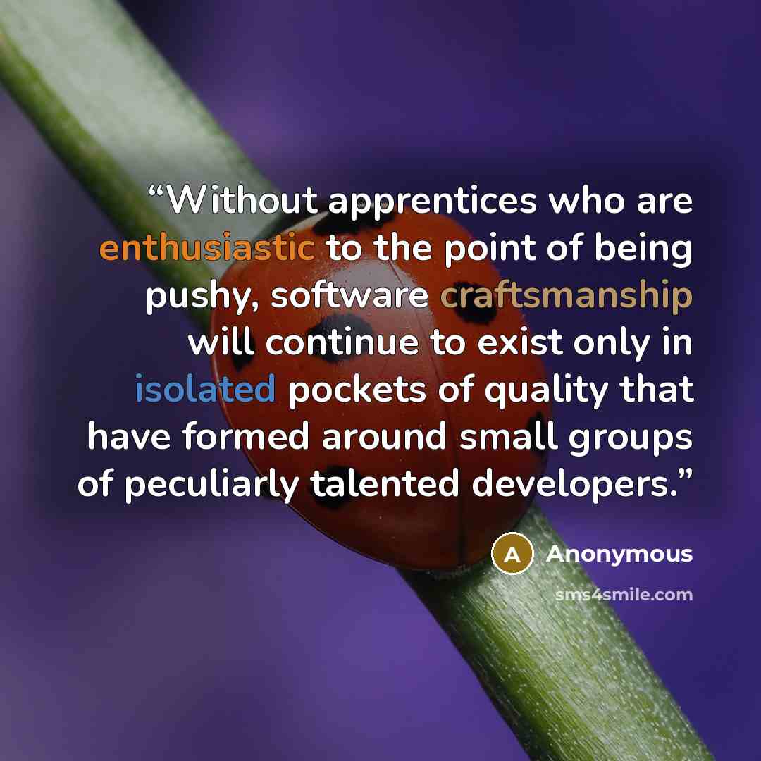 “Without apprentices who are enthusiastic to the point of being pushy, software craftsmanship will continue to exist only in isolated pockets of quality that have formed around small groups of peculiarly talented developers.” quote by Anonymous