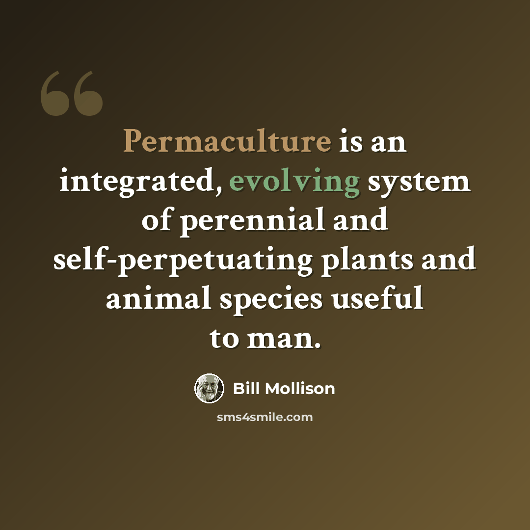 “Permaculture is an integrated, evolving system of perennial and self-perpetuating plants and animal species useful to man.” quote by Bill Mollison
