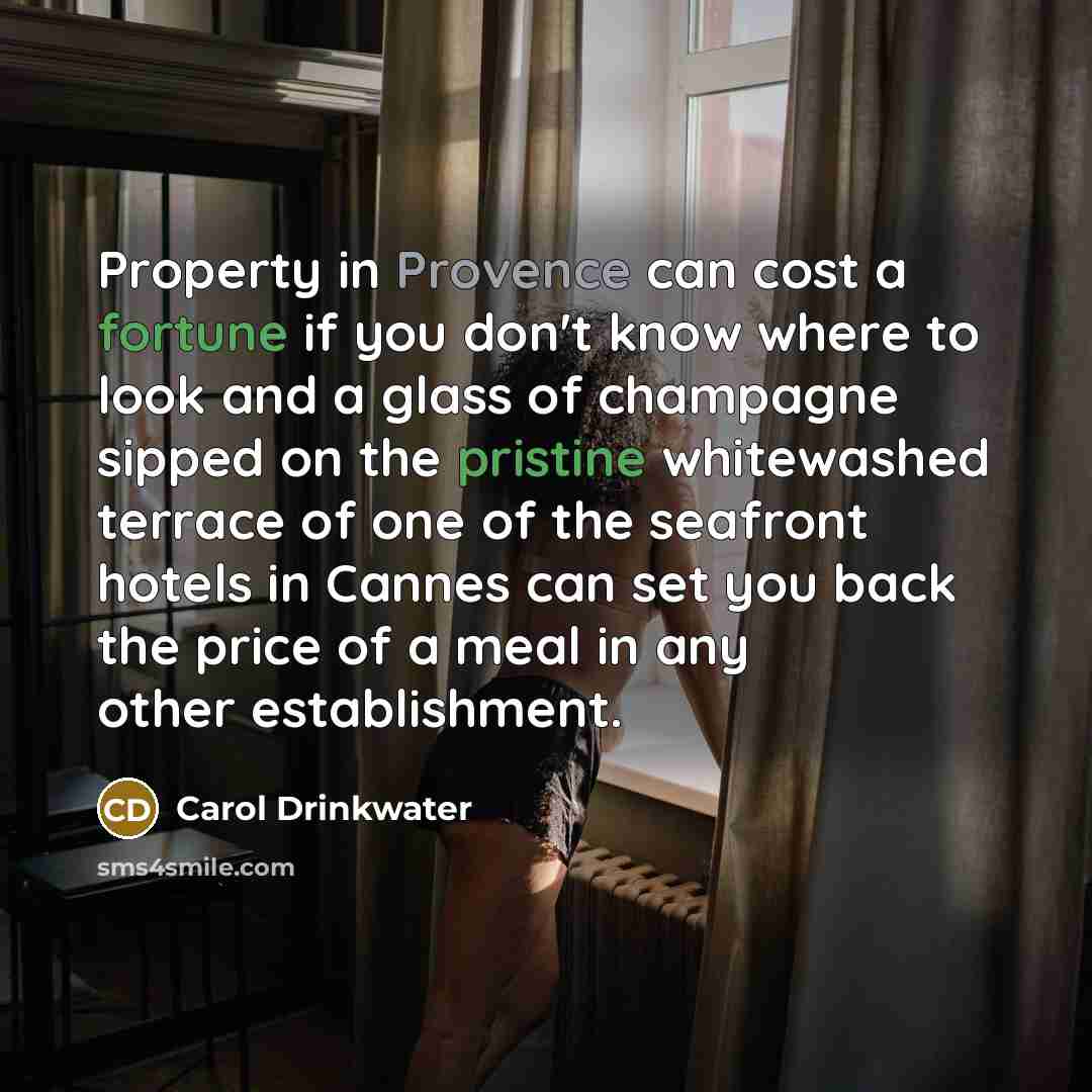 “Property in Provence can cost a fortune if you don't know where to look and a glass of champagne sipped on the pristine whitewashed terrace of one of the seafront hotels in Cannes can set you back the price of a meal in any other establishment.” quote by Carol Drinkwater