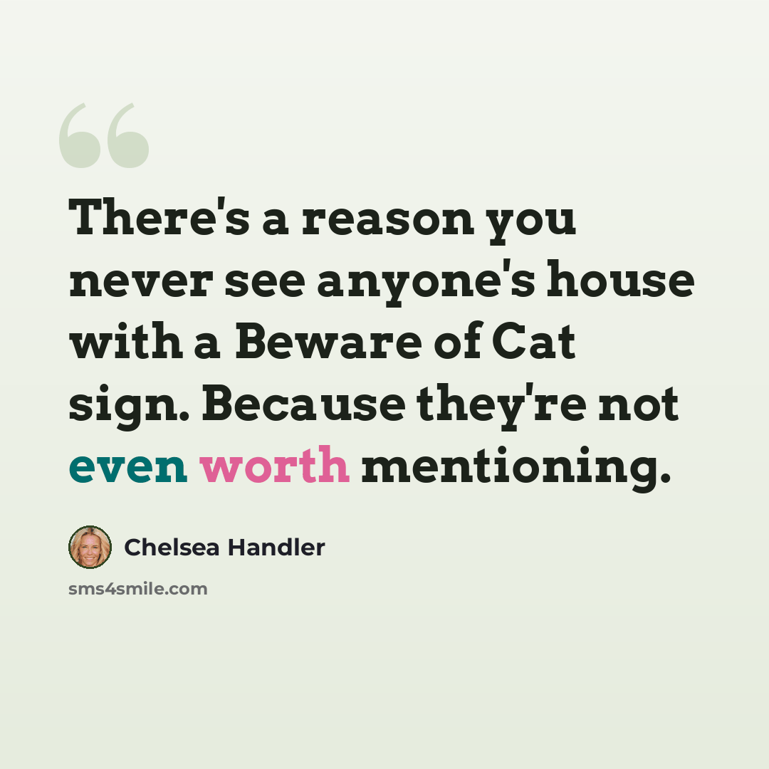 “There's a reason you never see anyone's house with a Beware of Cat sign. Because they're not even worth mentioning.” quote by Chelsea Handler