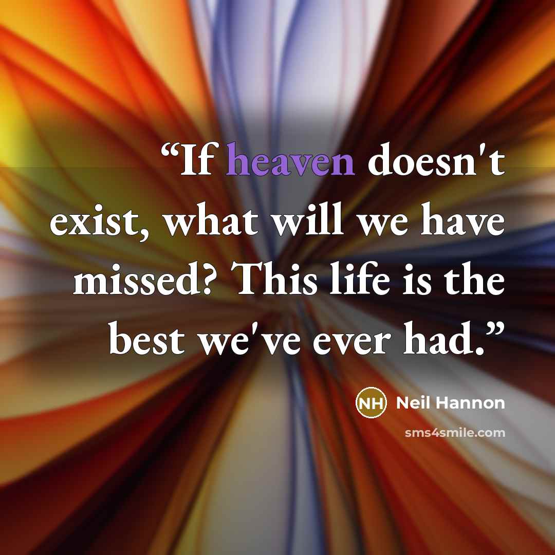 “If heaven doesn't exist, what will we have missed? This life is the best we've ever had.” quote by Neil Hannon