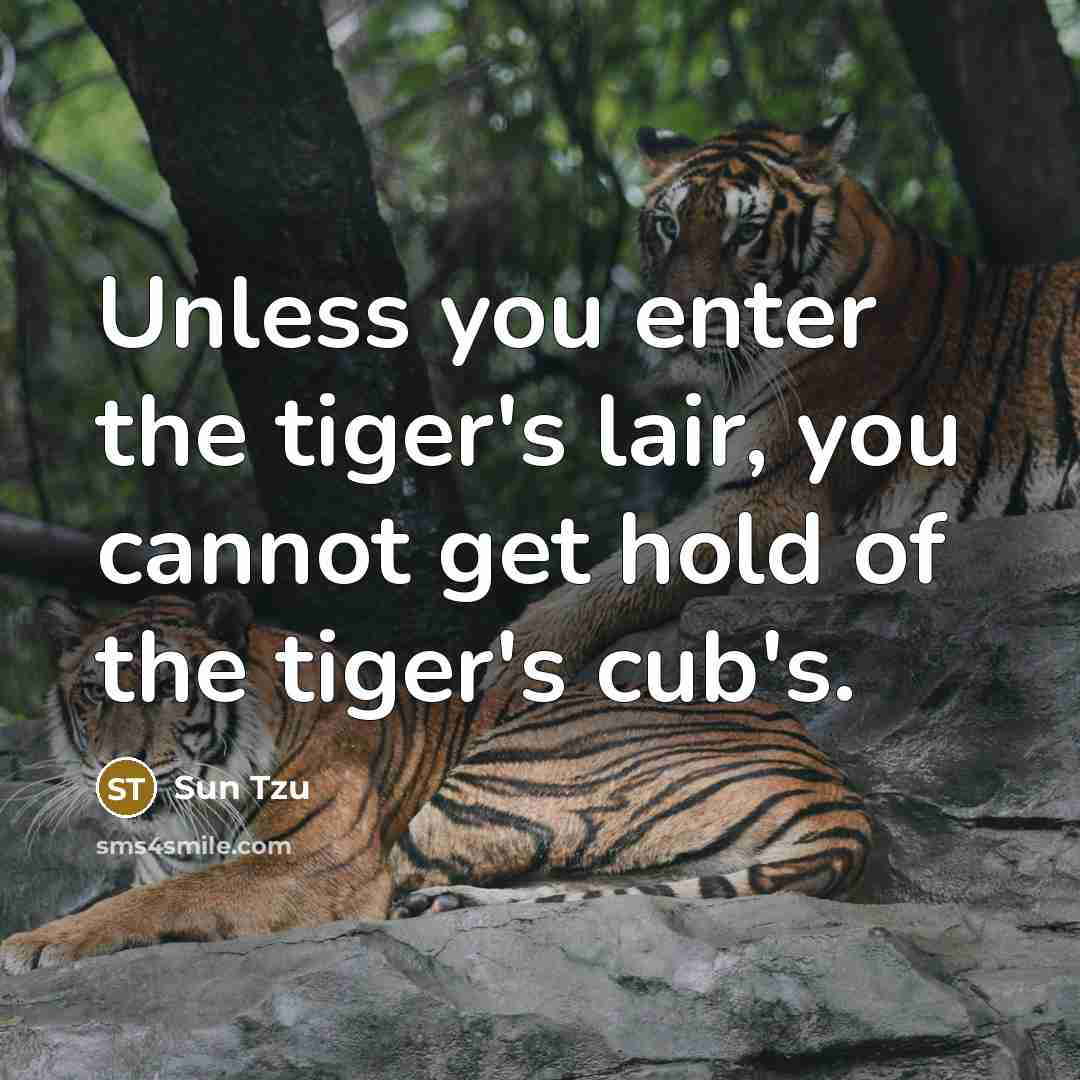 “Unless you enter the tiger's lair, you cannot get hold of the tiger's cub's.” quote by Sun Tzu