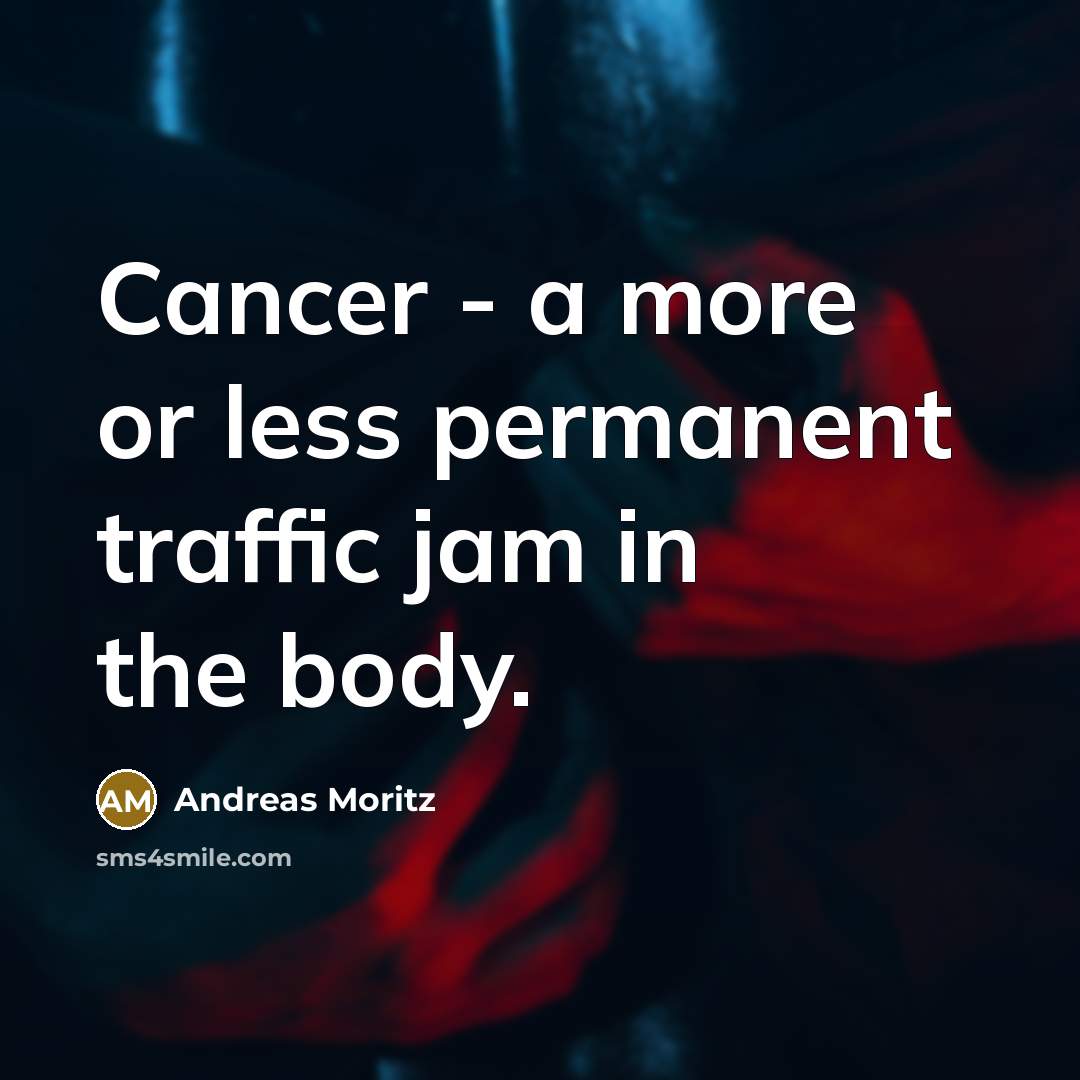 “Cancer - a more or less permanent traffic jam in the body.” quote by Andreas Moritz