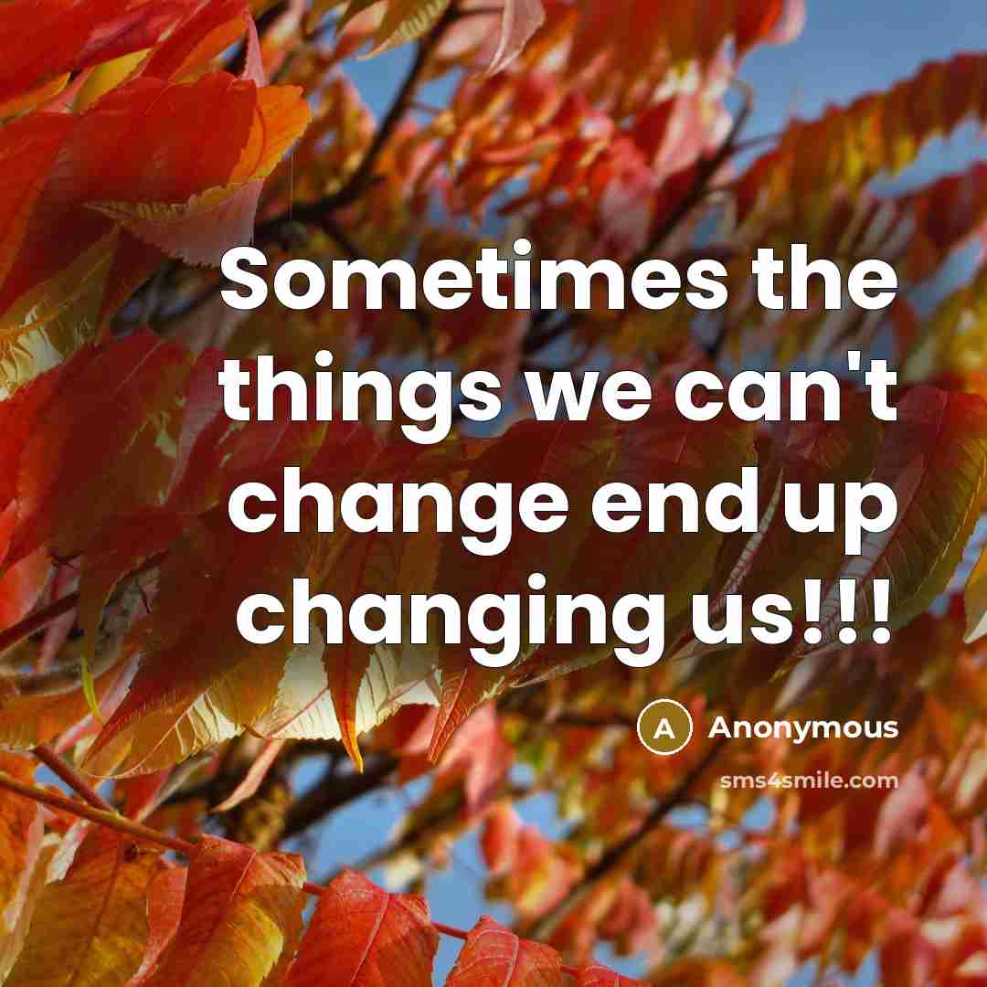 “Sometimes the things we can't change end up changing us!!!” quote by Anonymous