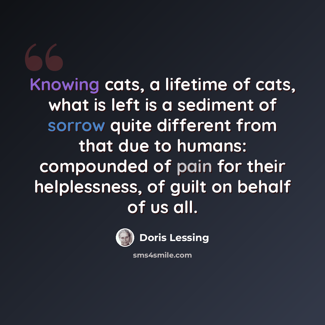 “Knowing cats, a lifetime of cats, what is left is a sediment of sorrow quite different from that due to humans: compounded of pain for their helplessness, of guilt on behalf of us all.” quote by Doris Lessing