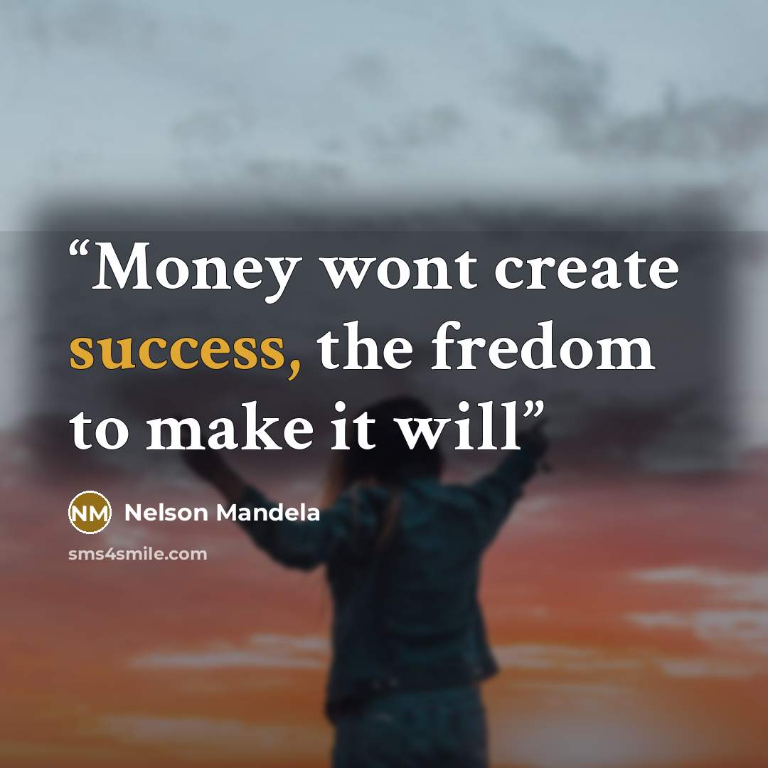 “Money wont create success, the fredom to make it will” quote by Nelson Mandela