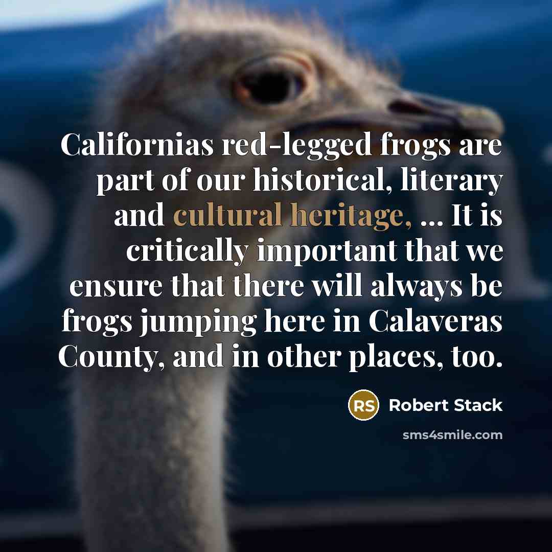 “Californias red-legged frogs are part of our historical, literary and cultural heritage, ... It is critically important that we ensure that there will always be frogs jumping here in Calaveras County, and in other places, too.” quote by Robert Stack