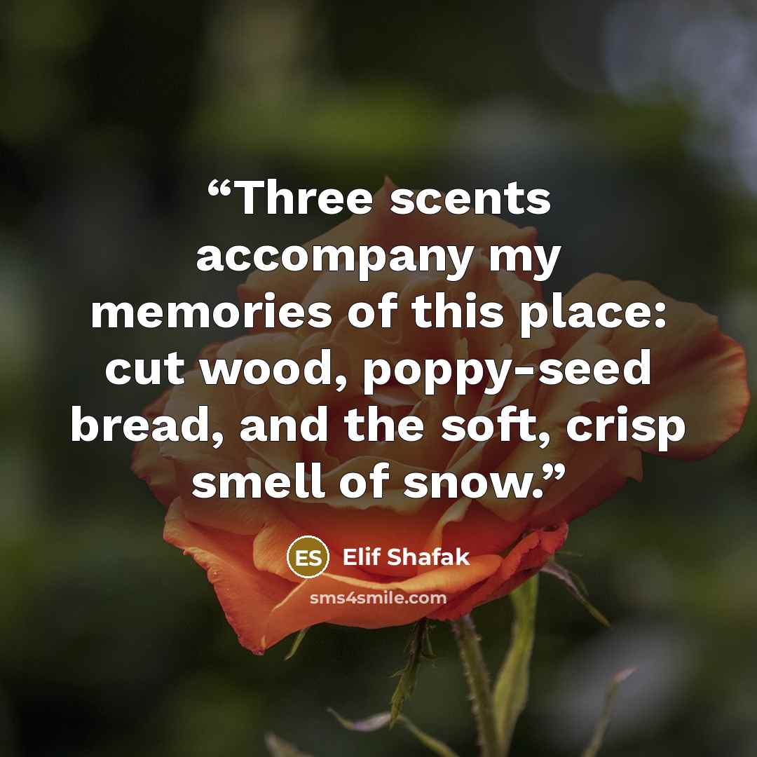 “Three scents accompany my memories of this place: cut wood, poppy-seed bread, and the soft, crisp smell of snow.” quote by Elif Shafak