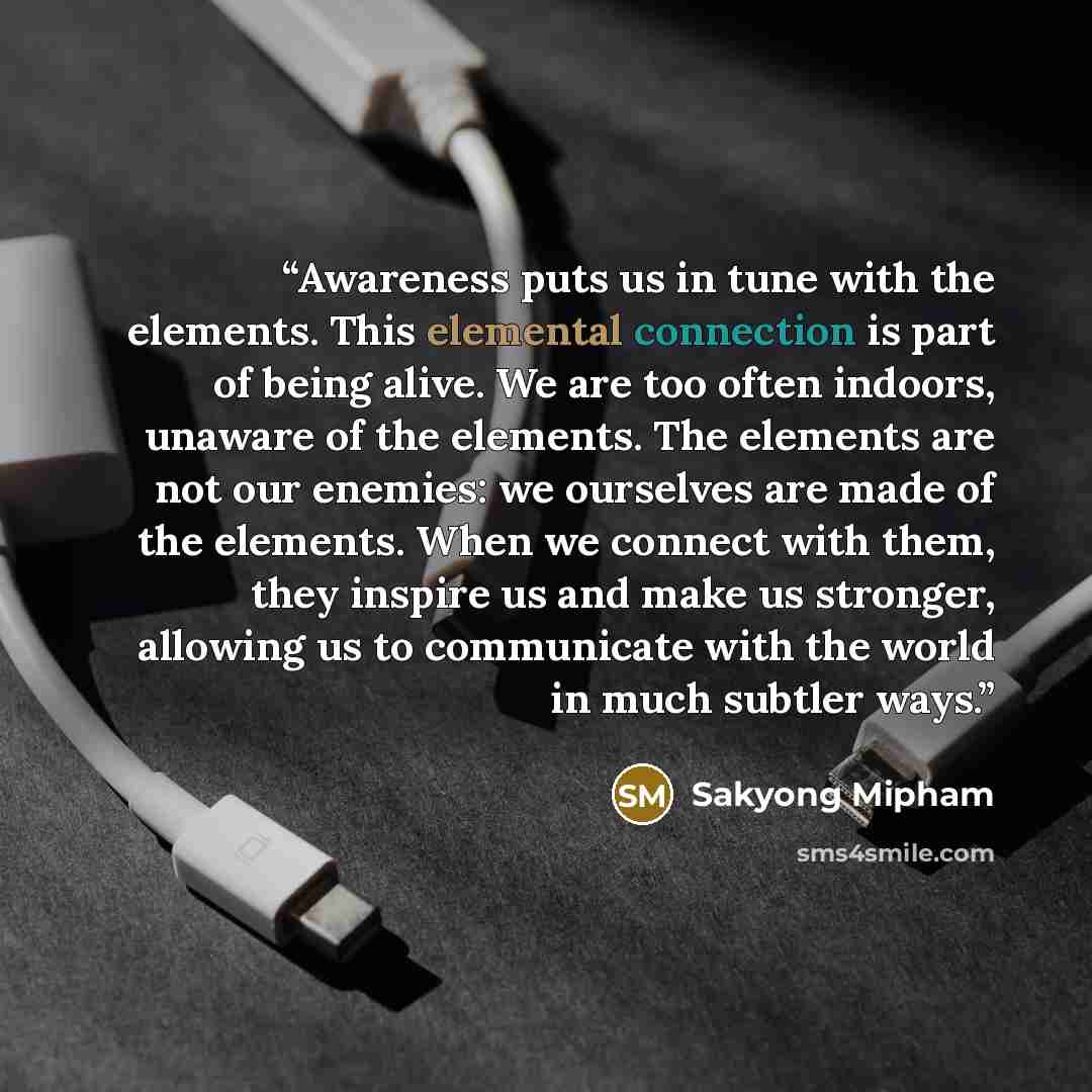“Awareness puts us in tune with the elements. This elemental connection is part of being alive. We are too often indoors, unaware of the elements. The elements are not our enemies: we ourselves are made of the elements. When we connect with them, they inspire us and make us stronger, allowing us to…” quote by Sakyong Mipham