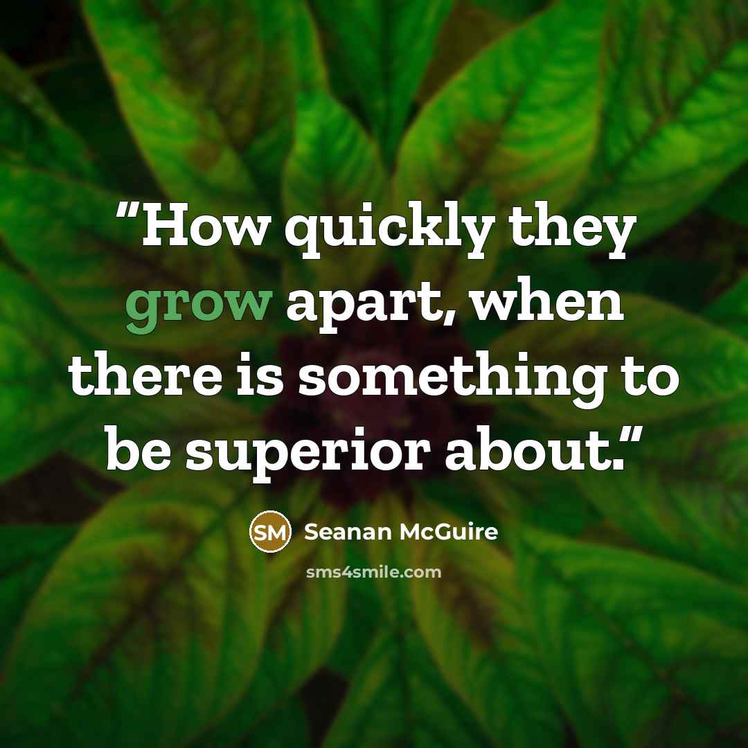 “How quickly they grow apart, when there is something to be superior about.” quote by Seanan McGuire