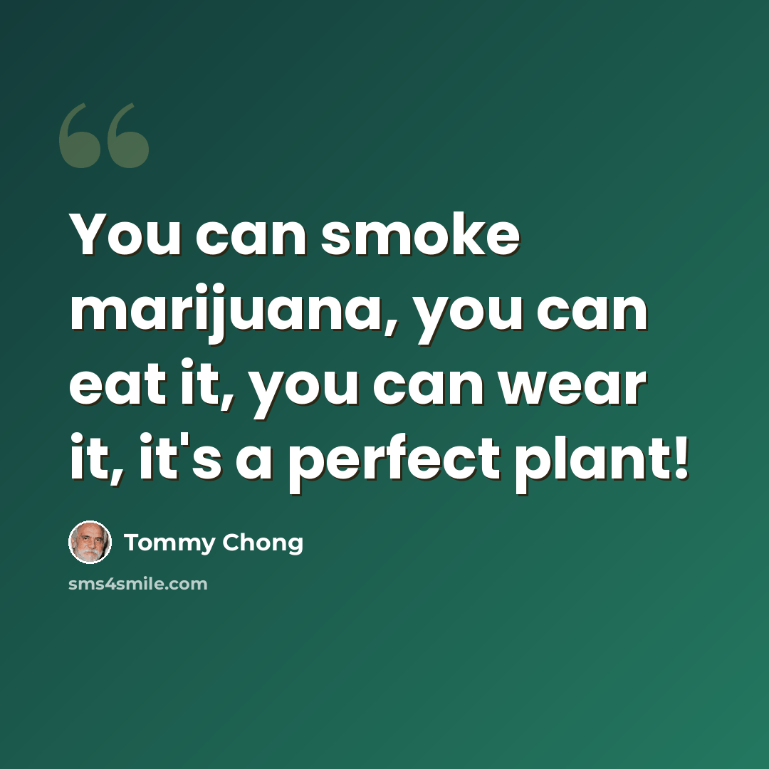 “You can smoke marijuana, you can eat it, you can wear it, it's a perfect plant!” quote by Tommy Chong