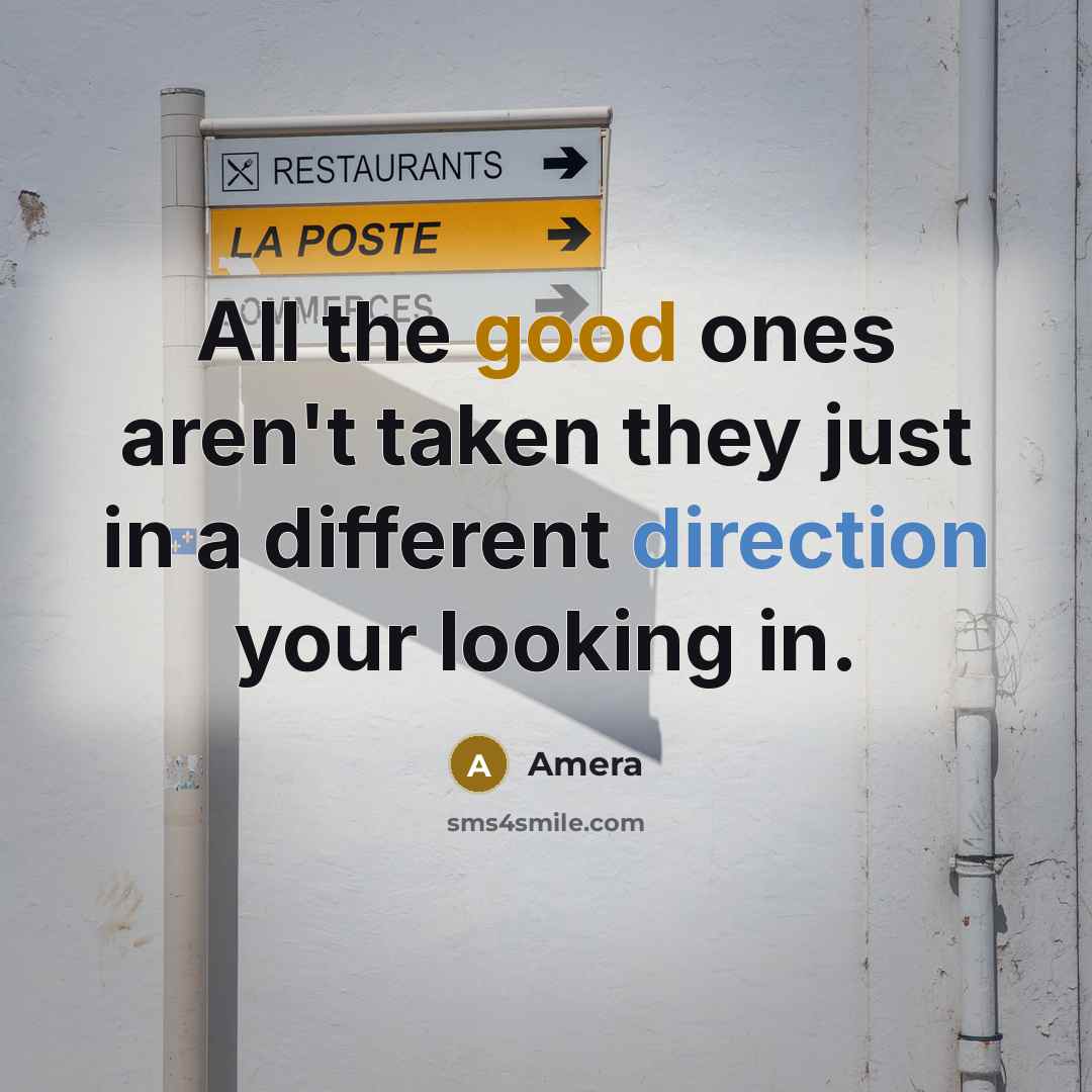 “All the good ones aren't taken they just in a different direction your looking in.” quote by Amera