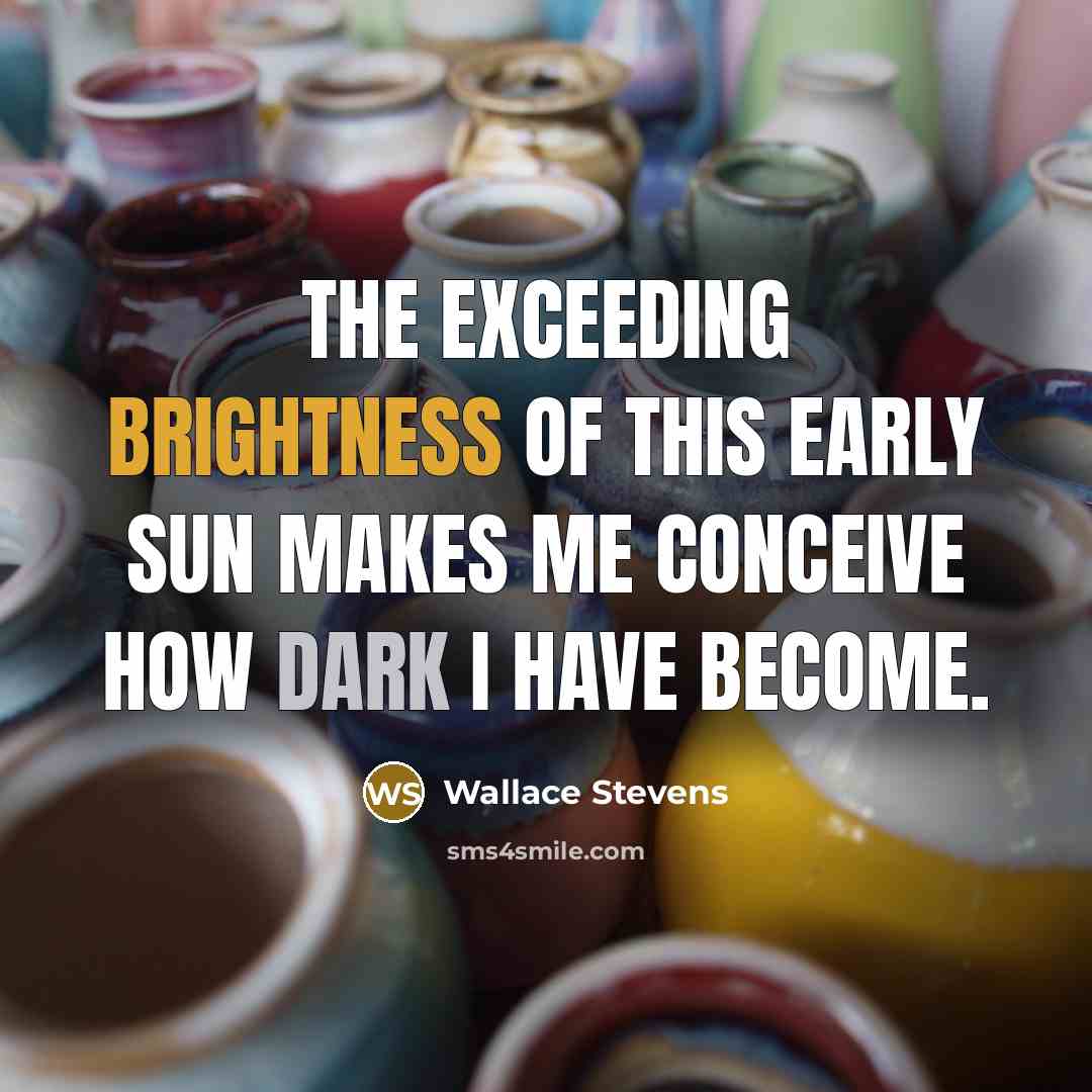 “The exceeding brightness of this early sun Makes me conceive how dark I have become.” quote by Wallace Stevens