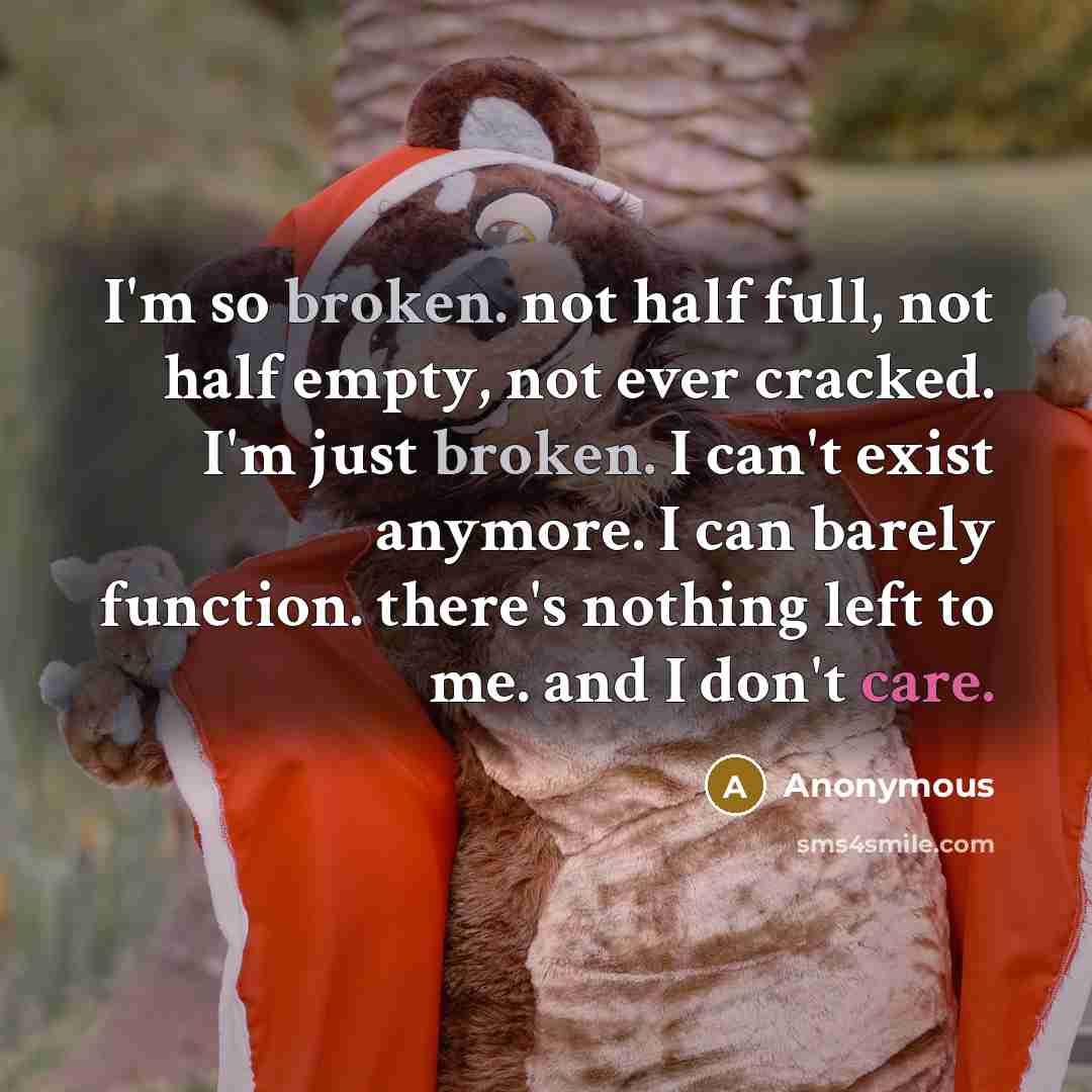 “I'm so broken. not half full, not half empty, not ever cracked. I'm just broken. I can't exist anymore. I can barely function. there's nothing left to me. and I don't care.” quote by Anonymous