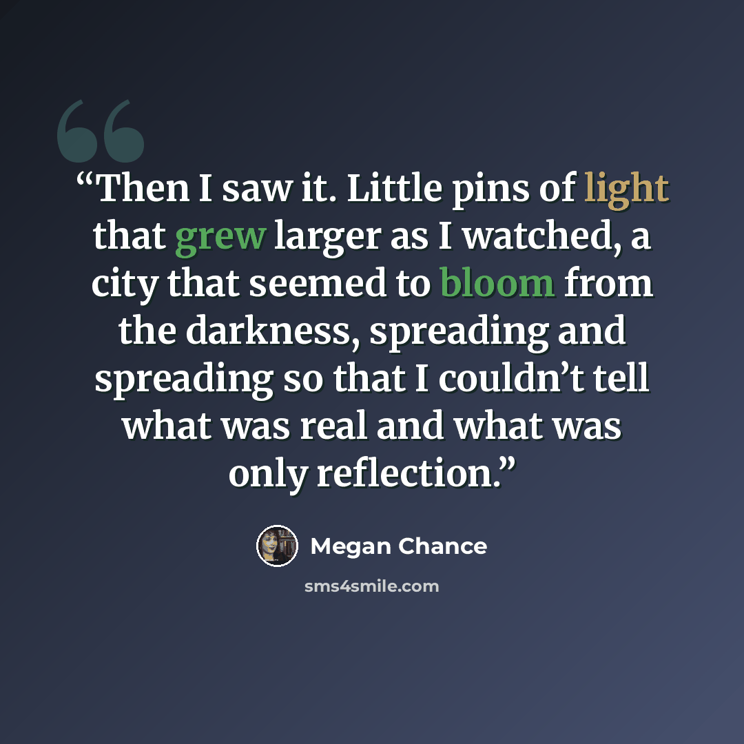 “Then I saw it. Little pins of light that grew larger as I watched, a city that seemed to bloom from the darkness, spreading and spreading so that I couldn’t tell what was real and what was only reflection.” quote by Megan Chance