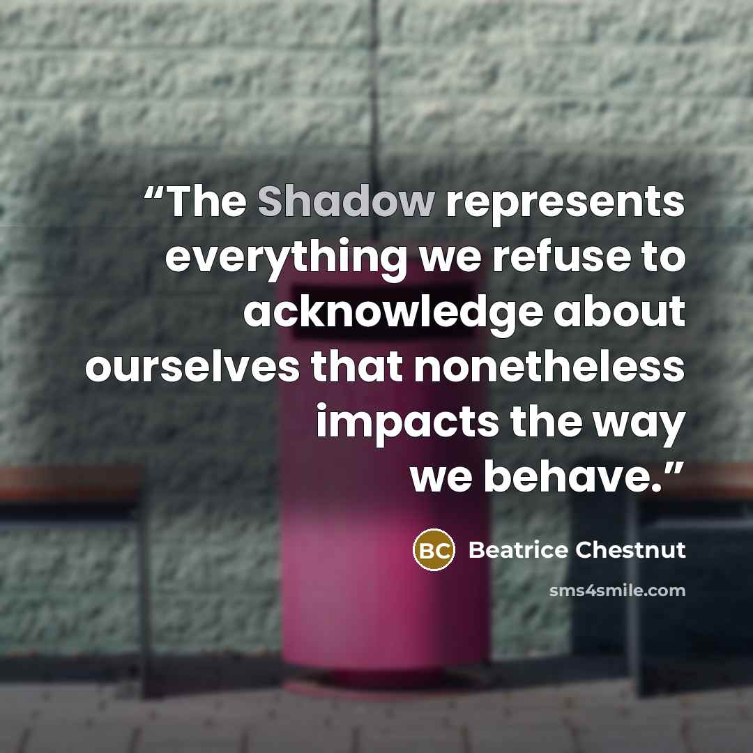 “The Shadow represents everything we refuse to acknowledge about ourselves that nonetheless impacts the way we behave.” quote by Beatrice Chestnut