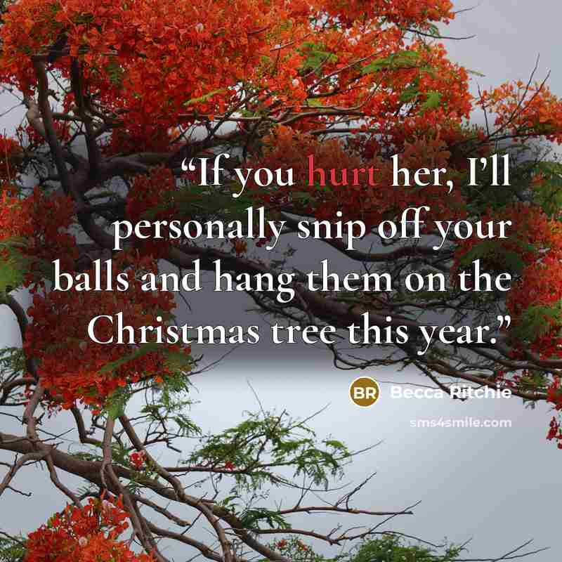 “If you hurt her, I’ll personally snip off your balls and hang them on the Christmas tree this year.” quote by Becca Ritchie