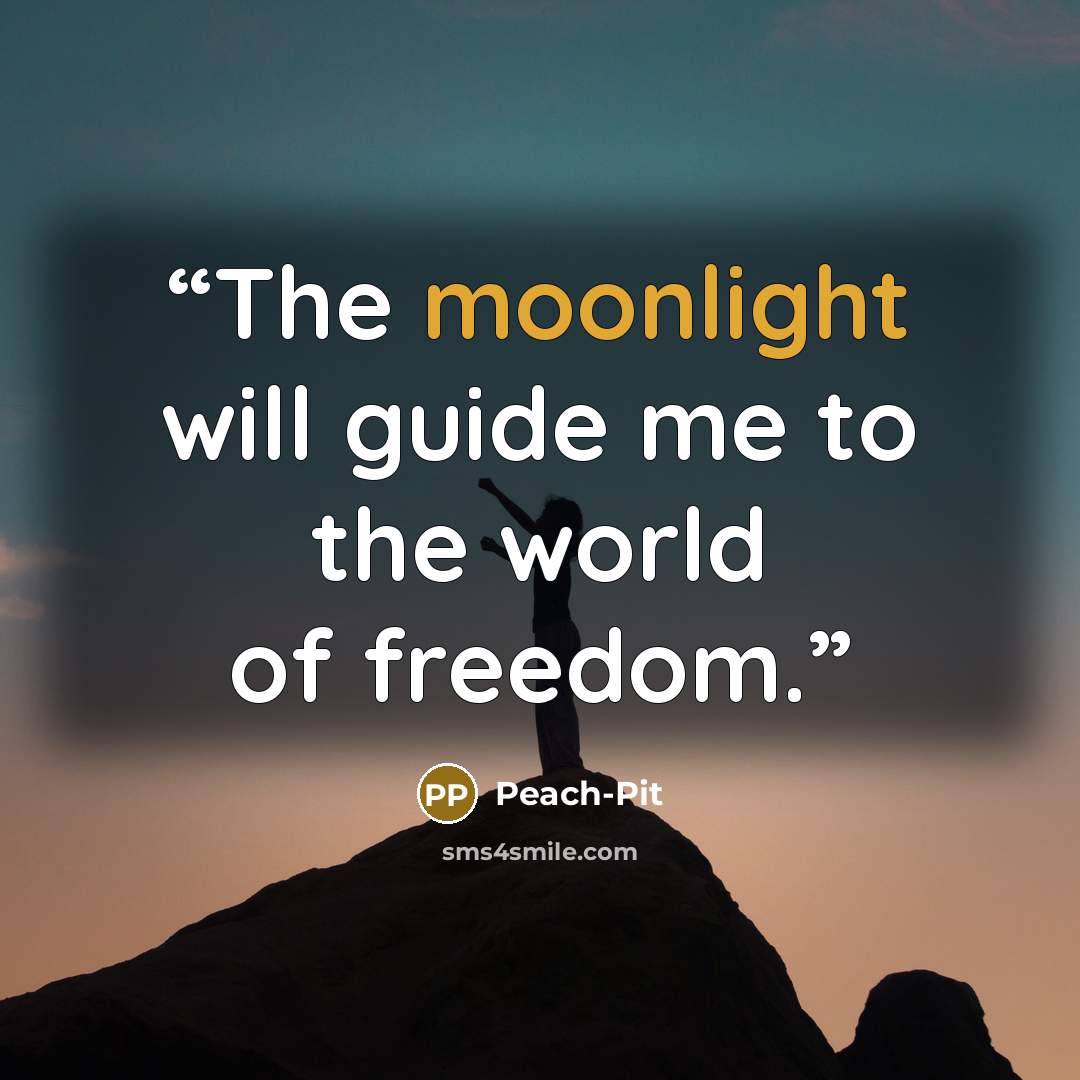“The moonlight will guide me to the world of freedom.” quote by Peach-Pit