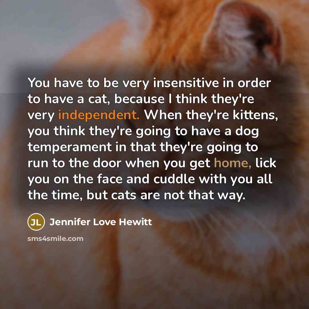 “You have to be very insensitive in order to have a cat, because I think they're very independent. When they're kittens, you think they're going to have a dog temperament in that they're going to run to the door when you get home, lick you on the face and cuddle with you all the time, but cats are…” quote by Jennifer Love Hewitt