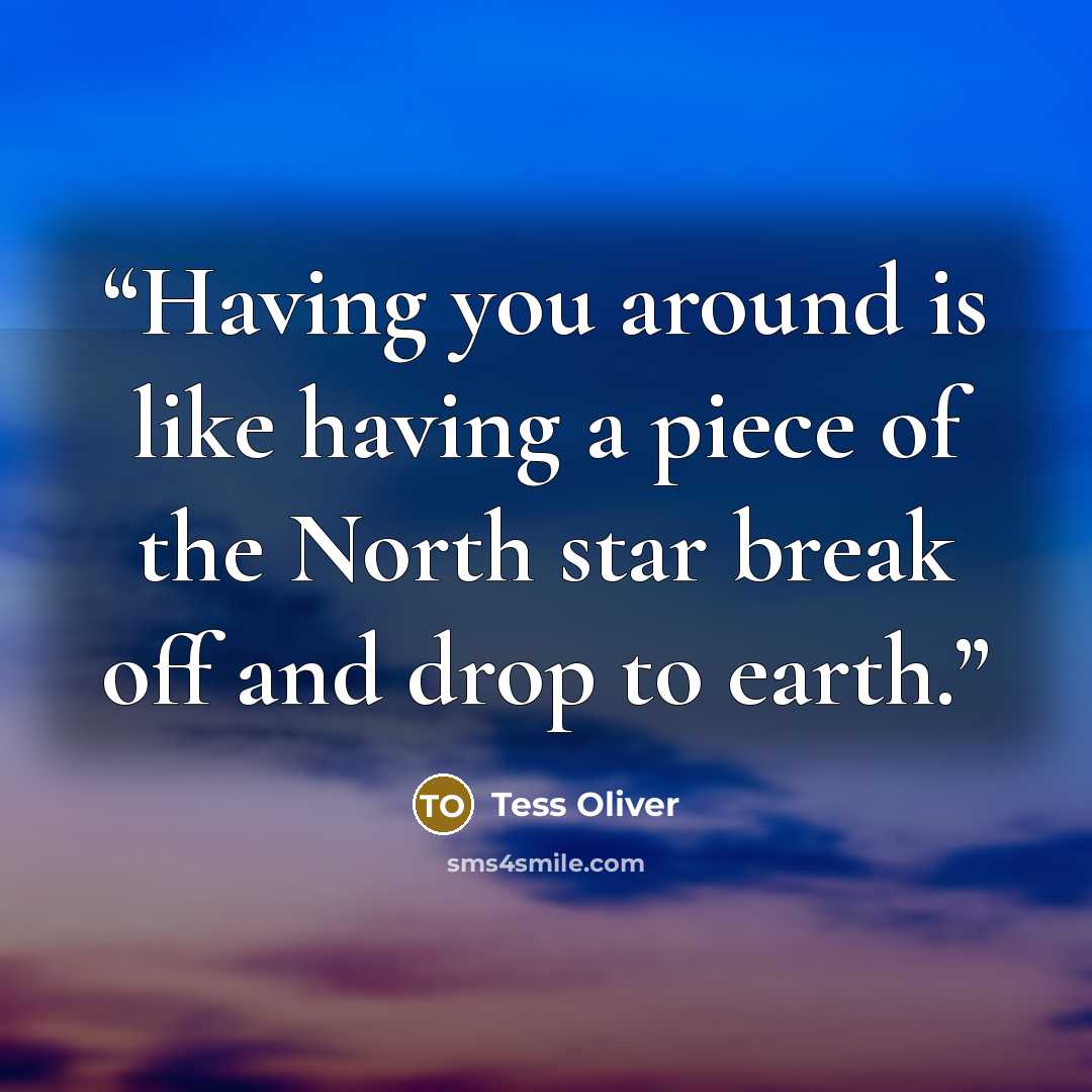 “Having you around is like having a piece of the North star break off and drop to earth.” quote by Tess Oliver