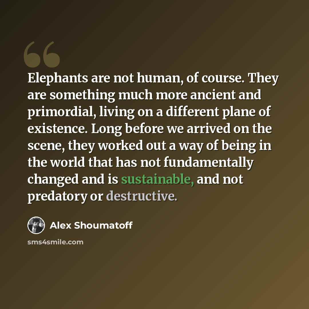 “Elephants are not human, of course. They are something much more ancient and primordial, living on a different plane of existence. Long before we arrived on the scene, they worked out a way of being in the world that has not fundamentally changed and is sustainable, and not predatory or destructive.” quote by Alex Shoumatoff