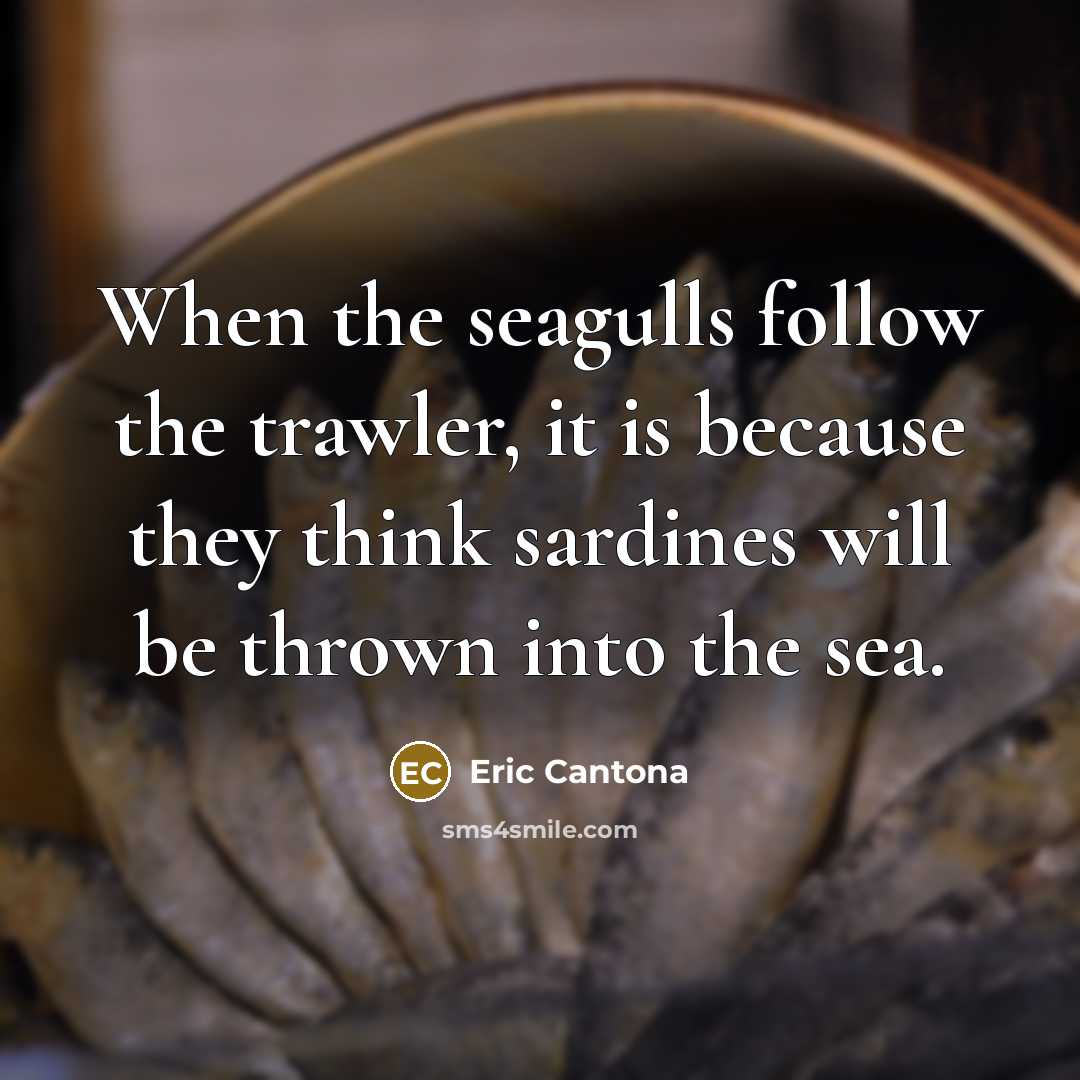 “When the seagulls follow the trawler, it is because they think sardines will be thrown into the sea.” quote by Eric Cantona