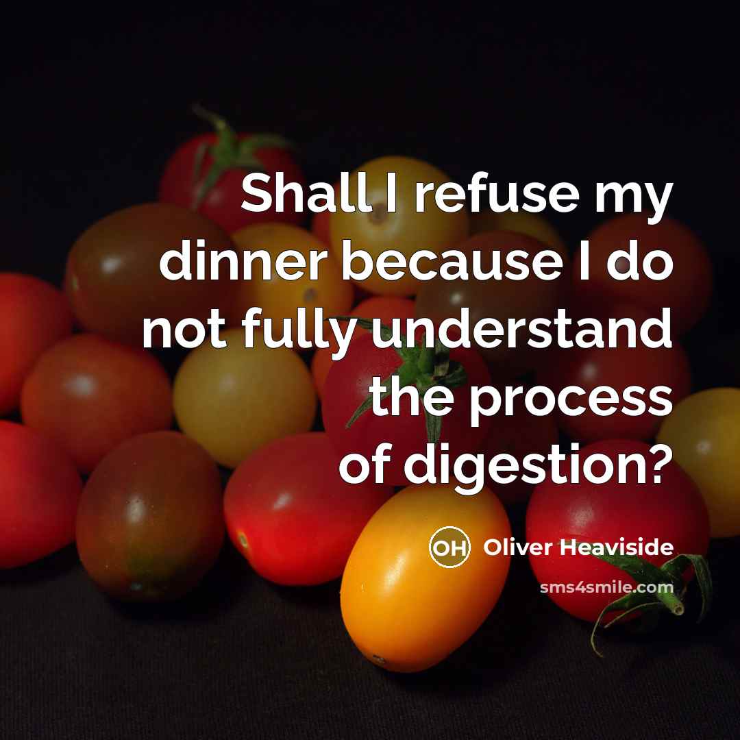 “Shall I refuse my dinner because I do not fully understand the process of digestion?” quote by Oliver Heaviside