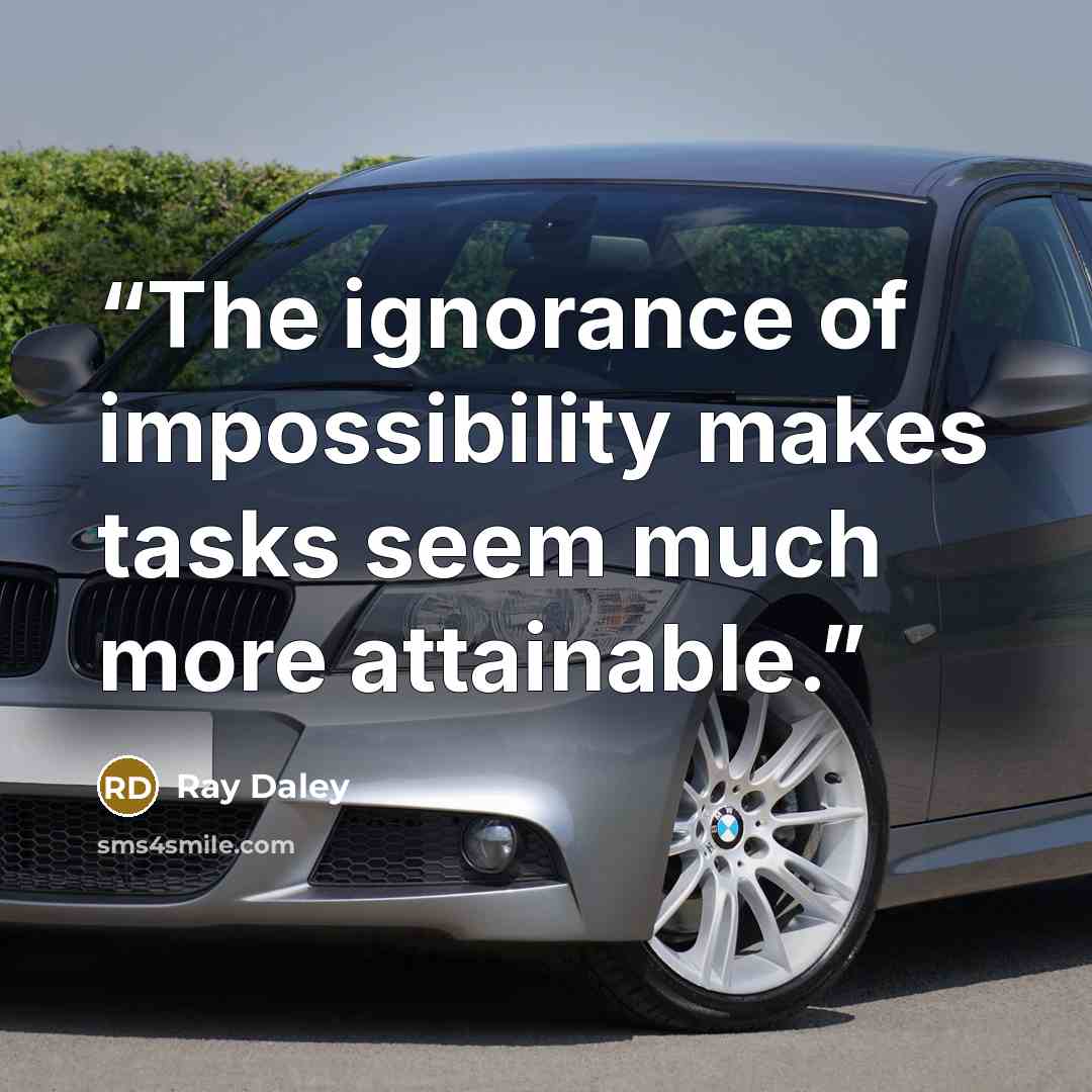 “The ignorance of impossibility makes tasks seem much more attainable.” quote by Ray Daley
