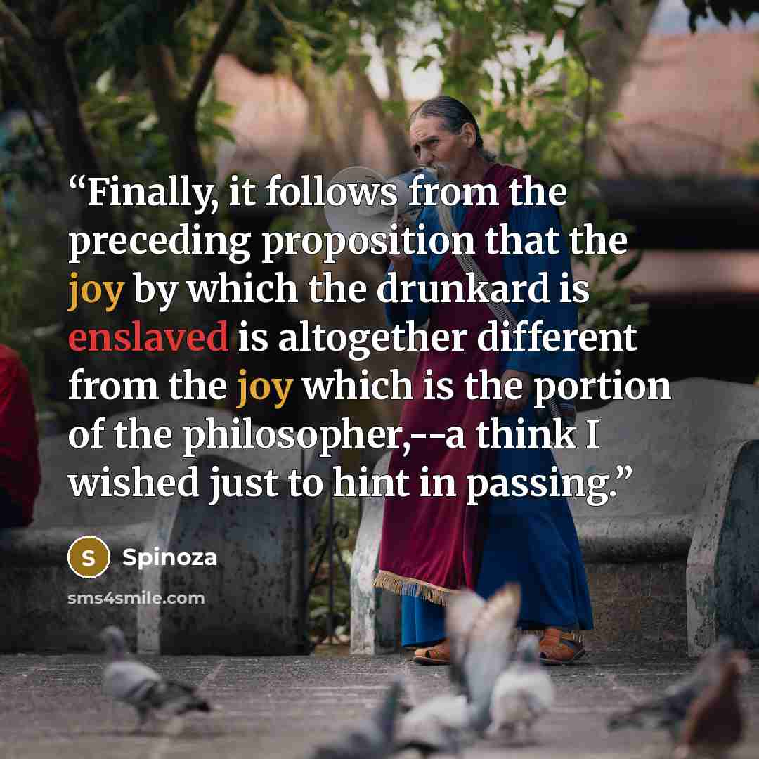 “Finally, it follows from the preceding proposition that the joy by which the drunkard is enslaved is altogether different from the joy which is the portion of the philosopher,--a think I wished just to hint in passing.” quote by Spinoza