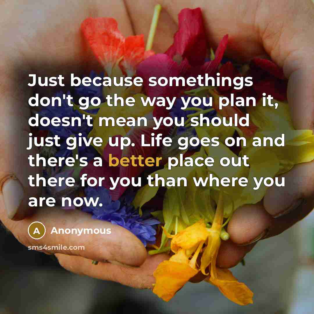 “Just because somethings don't go the way you plan it, doesn't mean you should just give up. Life goes on and there's a better place out there for you than where you are now.” quote by Anonymous