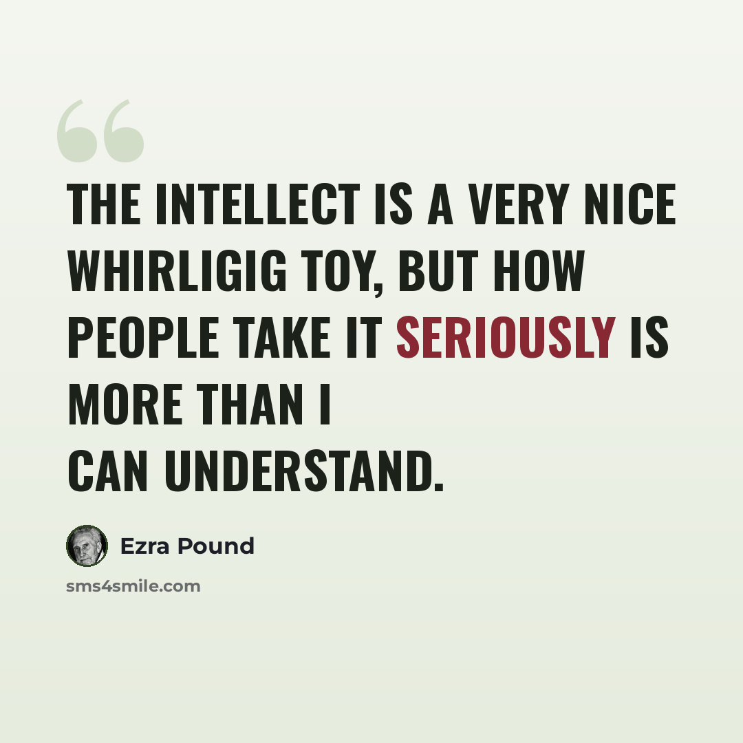 “The intellect is a very nice whirligig toy, but how people take it seriously is more than I can understand.” quote by Ezra Pound
