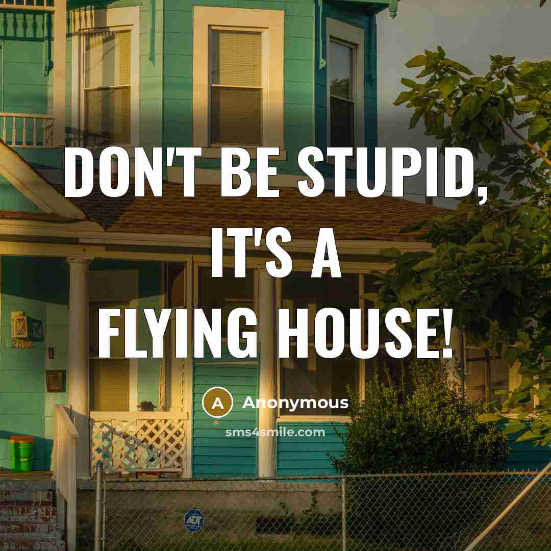 “Don't be stupid, it's a flying house!” quote by Anonymous