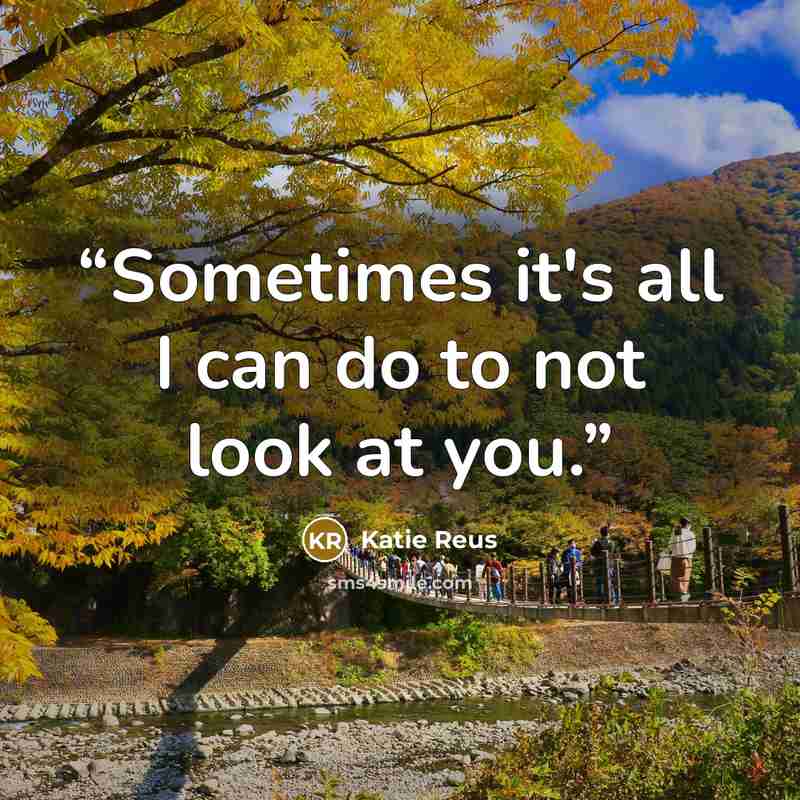“Sometimes it's all I can do to not look at you.” quote by Katie Reus