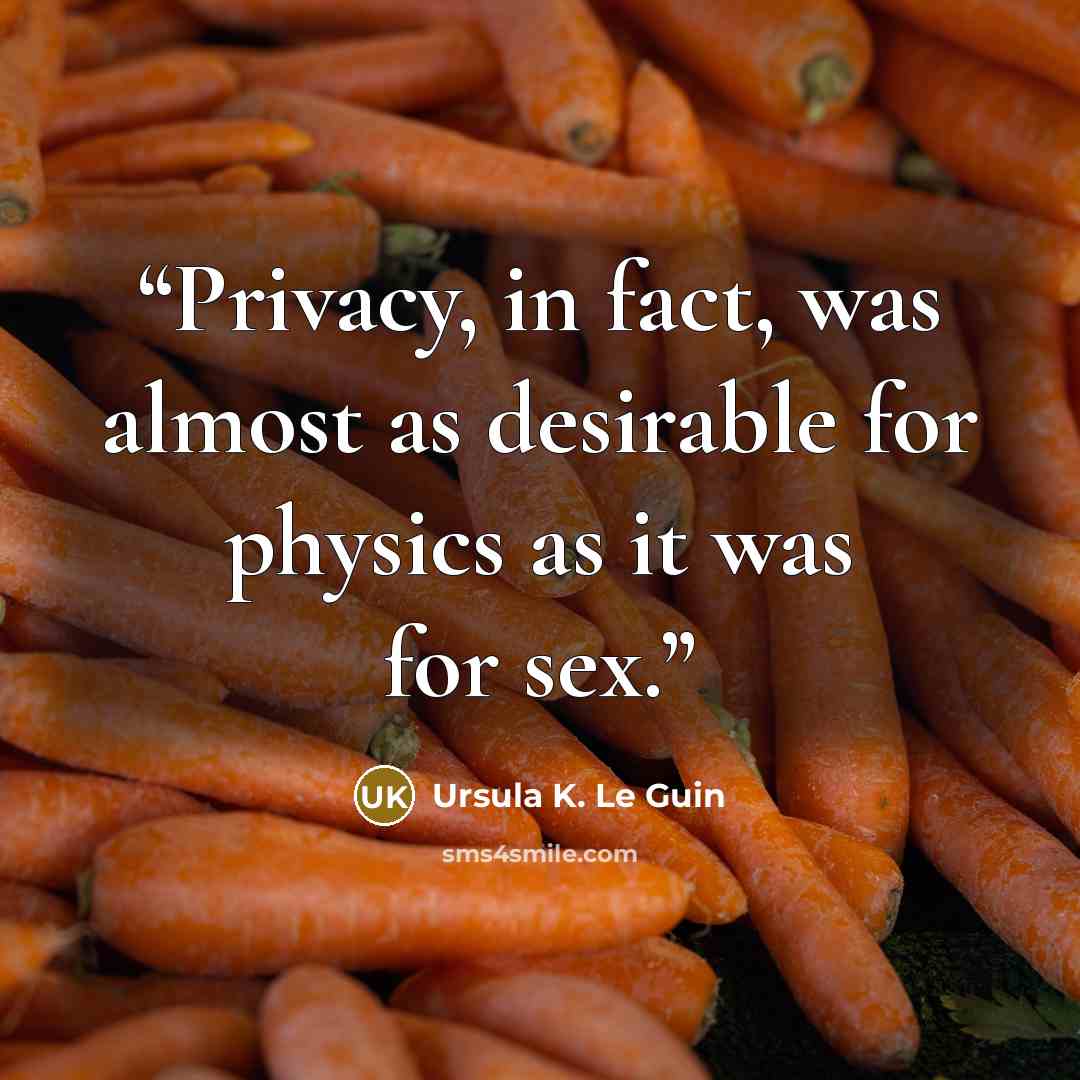 “Privacy, in fact, was almost as desirable for physics as it was for sex.” quote by Ursula K. Le Guin