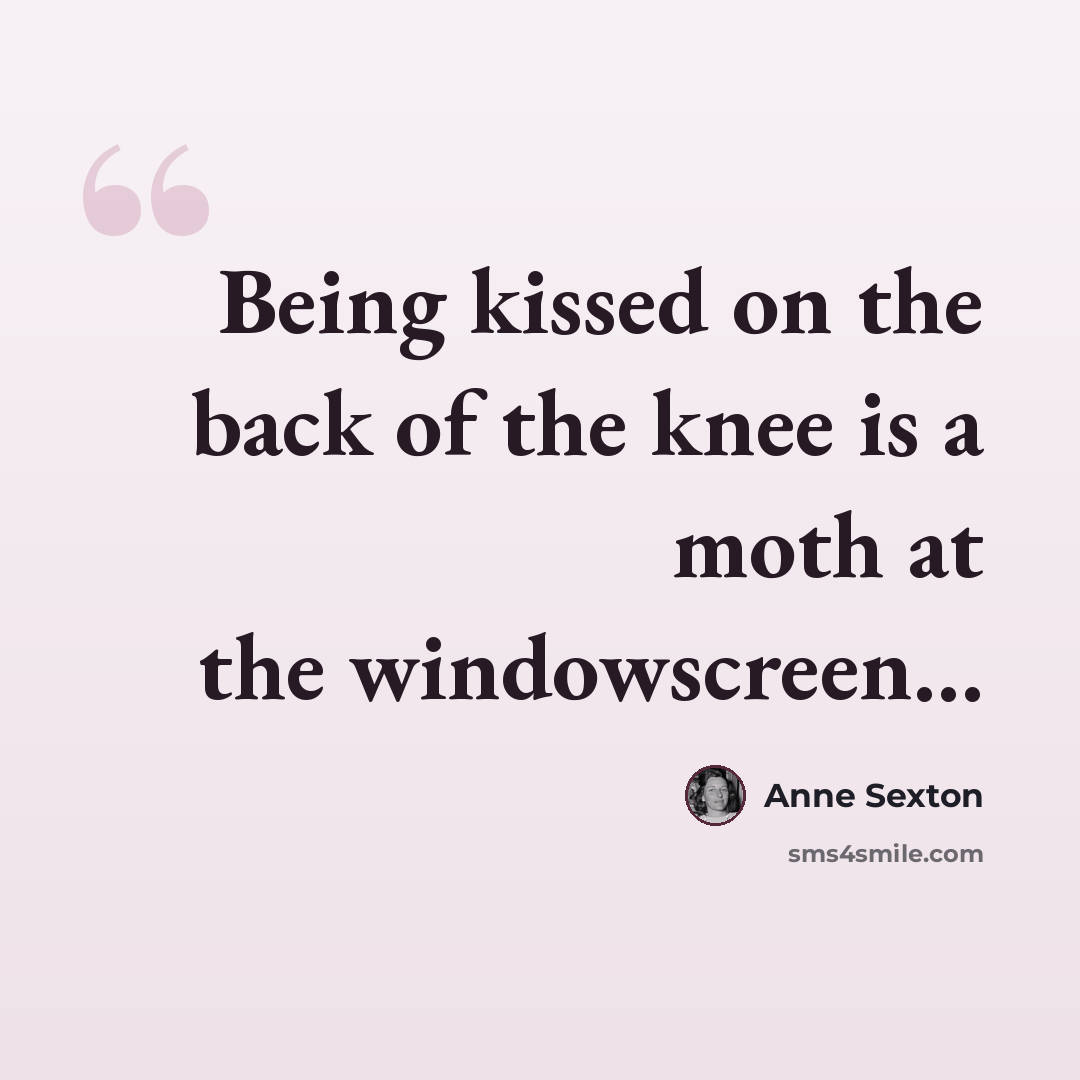 “Being kissed on the back of the knee is a moth at the windowscreen…” quote by Anne Sexton