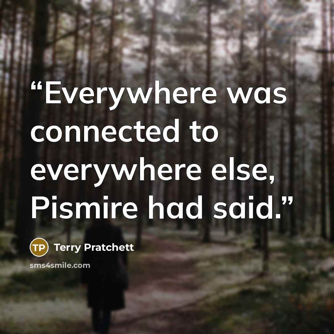 “Everywhere was connected to everywhere else, Pismire had said.” quote by Terry Pratchett
